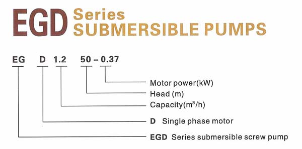 EGD-1.jpg